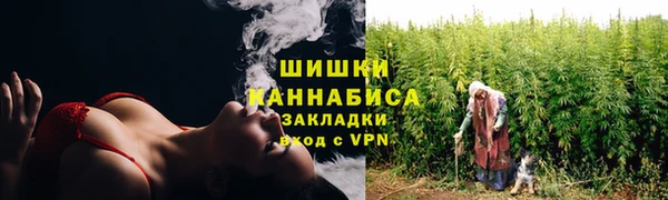 ПСИЛОЦИБИНОВЫЕ ГРИБЫ Богородицк