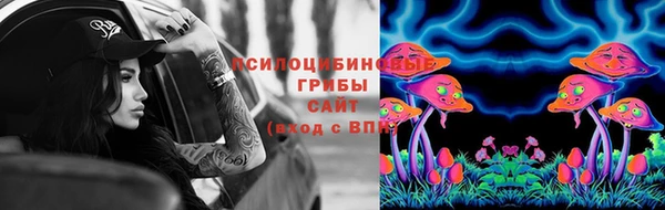 ПСИЛОЦИБИНОВЫЕ ГРИБЫ Богородицк