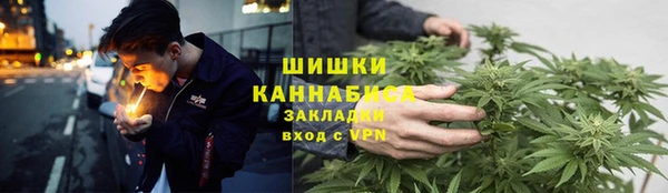 ПСИЛОЦИБИНОВЫЕ ГРИБЫ Богородицк
