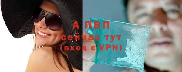 ПСИЛОЦИБИНОВЫЕ ГРИБЫ Богородицк