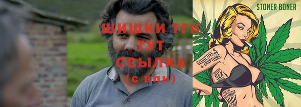 ПСИЛОЦИБИНОВЫЕ ГРИБЫ Богородицк